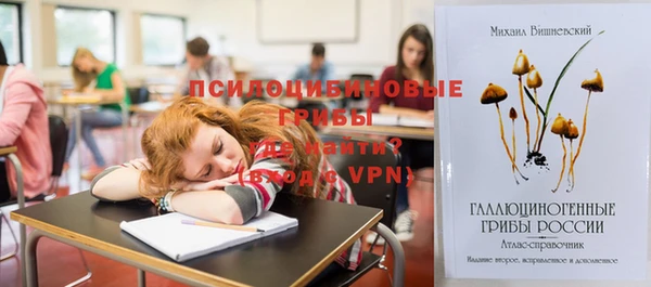 прущие грибы Кодинск