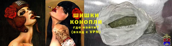 ГАЛЛЮЦИНОГЕННЫЕ ГРИБЫ Костерёво