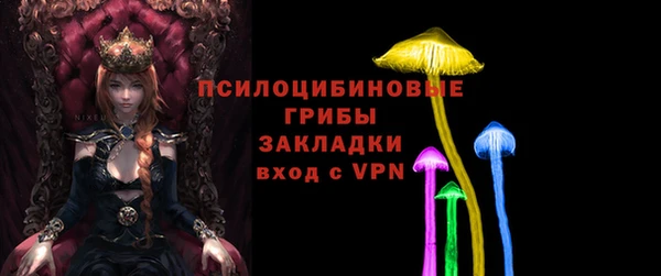стафф Козловка
