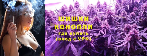 прущие грибы Кодинск