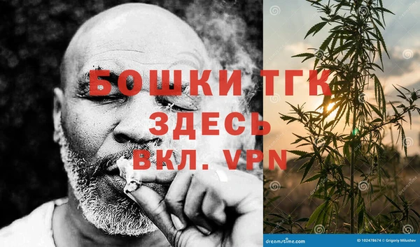 прущие грибы Кодинск