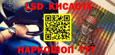 прущие крисы Гатчина