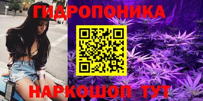 метадон Гай