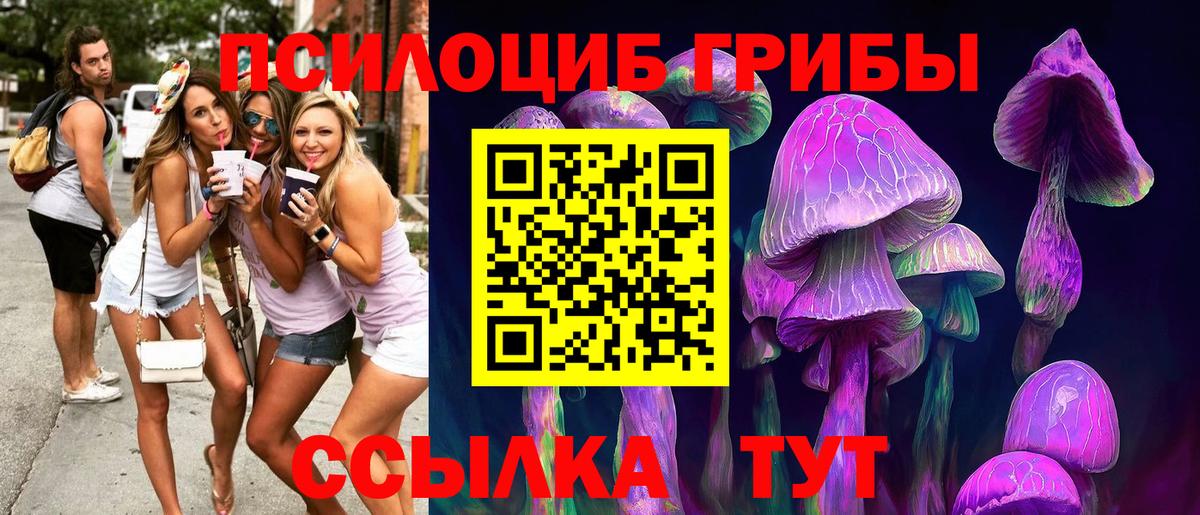 Псилоцибиновые грибы ЛСД Тихорецк