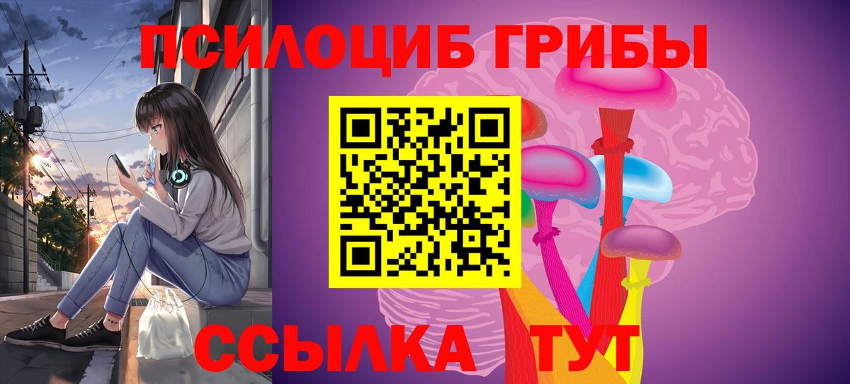 Псилоцибиновые грибы прущие грибы  где купить наркоту  Тихорецк  Вход с VPN 